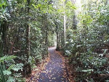 Hotel Lake Eacham Tourist Park & Self Contained Cabins